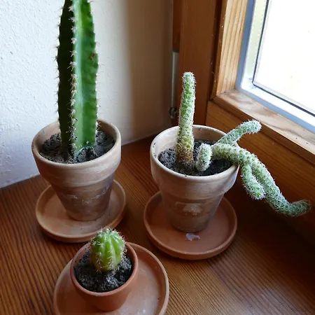 아파트 Gaestehaus Leipzig-gottscheina