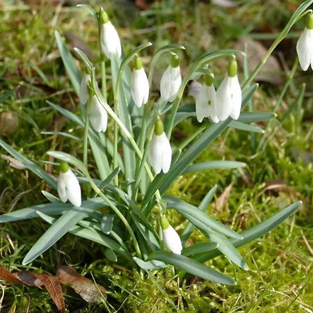아파트 Gaestehaus Leipzig-gottscheina 라이프치히