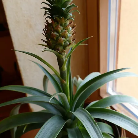 Gaestehaus Leipzig-gottscheina 아파트