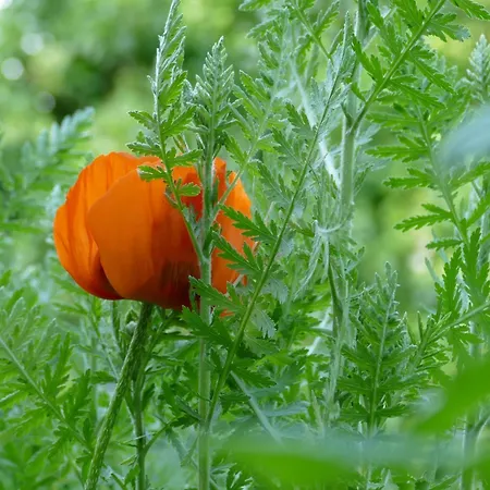 Gaestehaus Leipzig-gottscheina 아파트 라이프치히