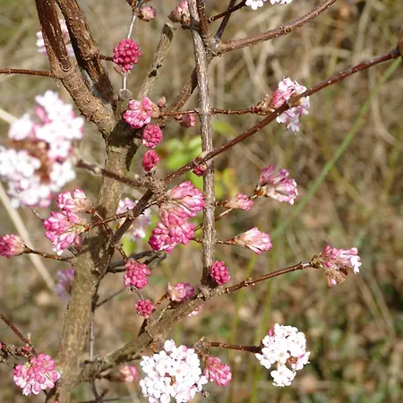 Gaestehaus Leipzig-gottscheina 아파트 *