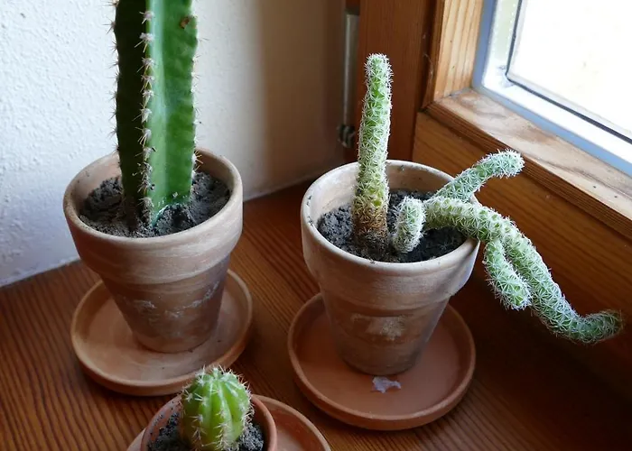 Апартаменты Gaestehaus Leipzig-gottscheina