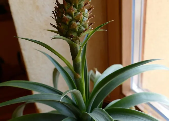 Gaestehaus Leipzig-gottscheina Апартаменты