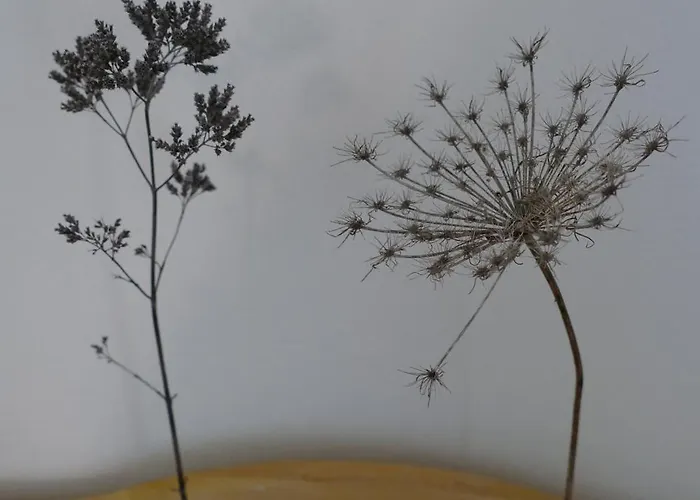 Апартаменты Gaestehaus Leipzig-gottscheina *