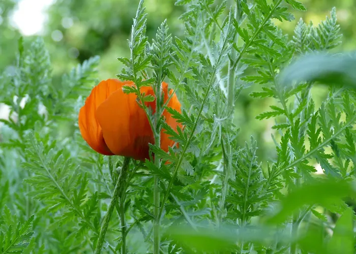 Gaestehaus Leipzig-gottscheina Апартаменты Лейпциг