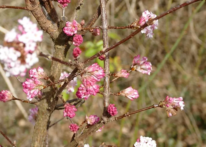 Gaestehaus Leipzig-gottscheina Апартаменты *